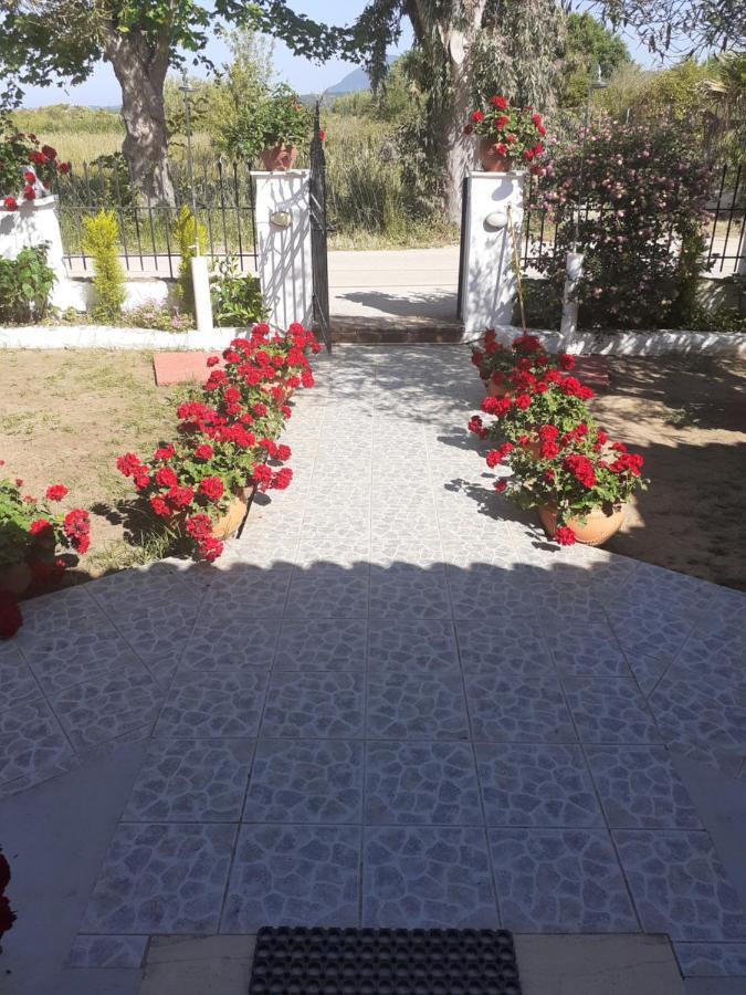 Issos Apartments Agios Georgios  Dış mekan fotoğraf