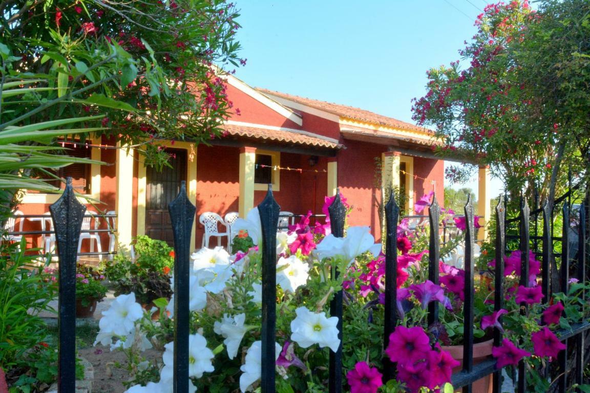 Issos Apartments Agios Georgios  Dış mekan fotoğraf